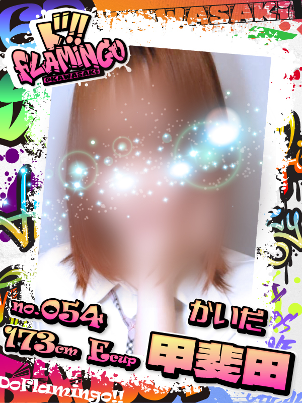 054.甲斐田イメージ